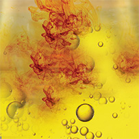 Thyroid Complex Bild zu Tailored complex with iodine, selenium, and zinc.