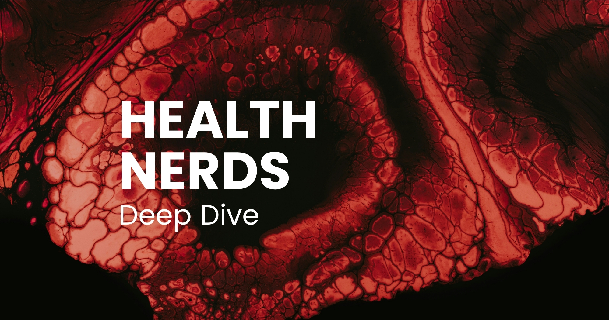 Deep Dive Podcast: OPC Oligomere Proanthocyanidine