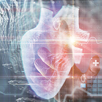 Bild zu Heart function