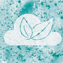 Bild zu Low-pollutant cultivation