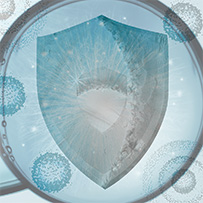 Zinc Complex 25mg Bild zu Supports immune defense³