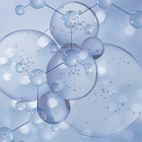 Bild zu Longevity & Energy Metabolism
