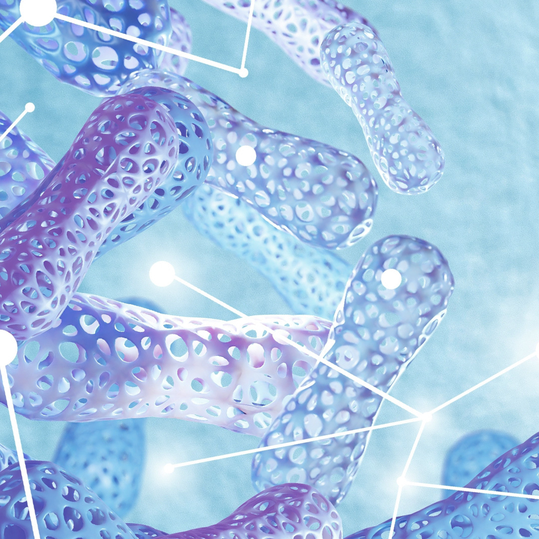 Lactoferrin Bild zu Natural iron binder and transporter