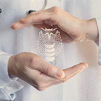 Thyroid Complex Bild zu Thyroid Support