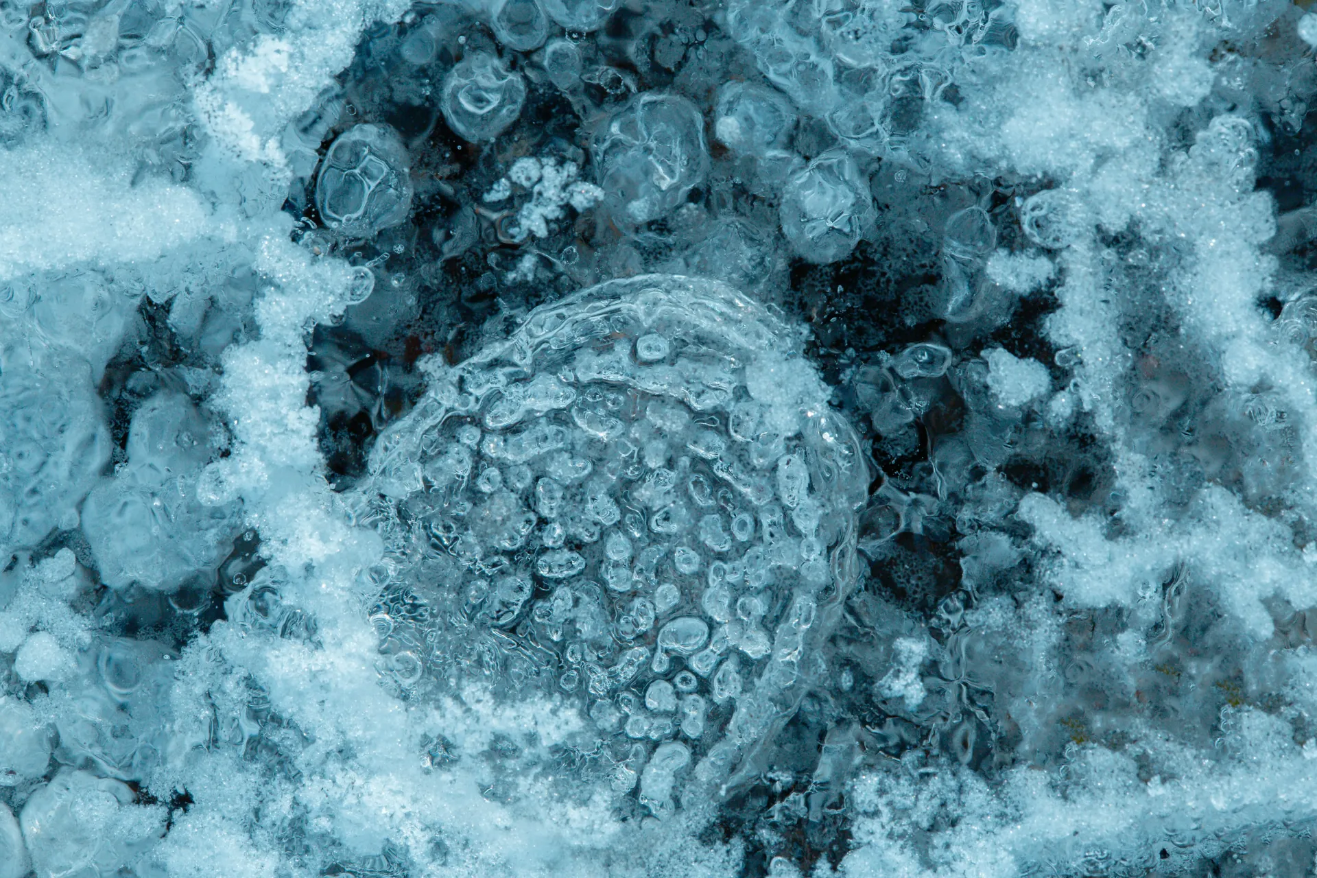 Gefahr durch das HMPV-Virus: Was Du wissen musst