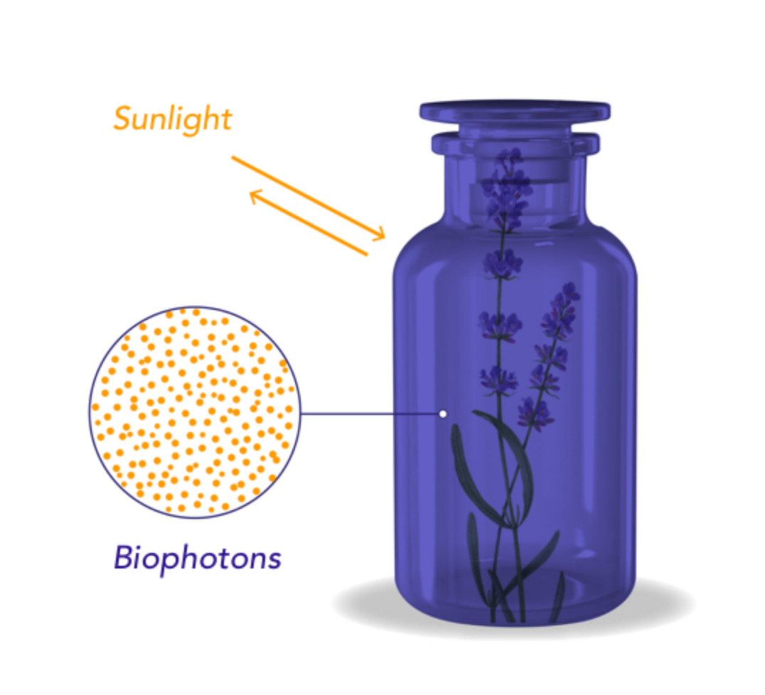 miron uv schutz glas?ts=1746531888