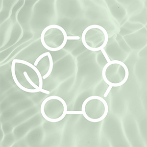 Bild zu Sustainable Origin