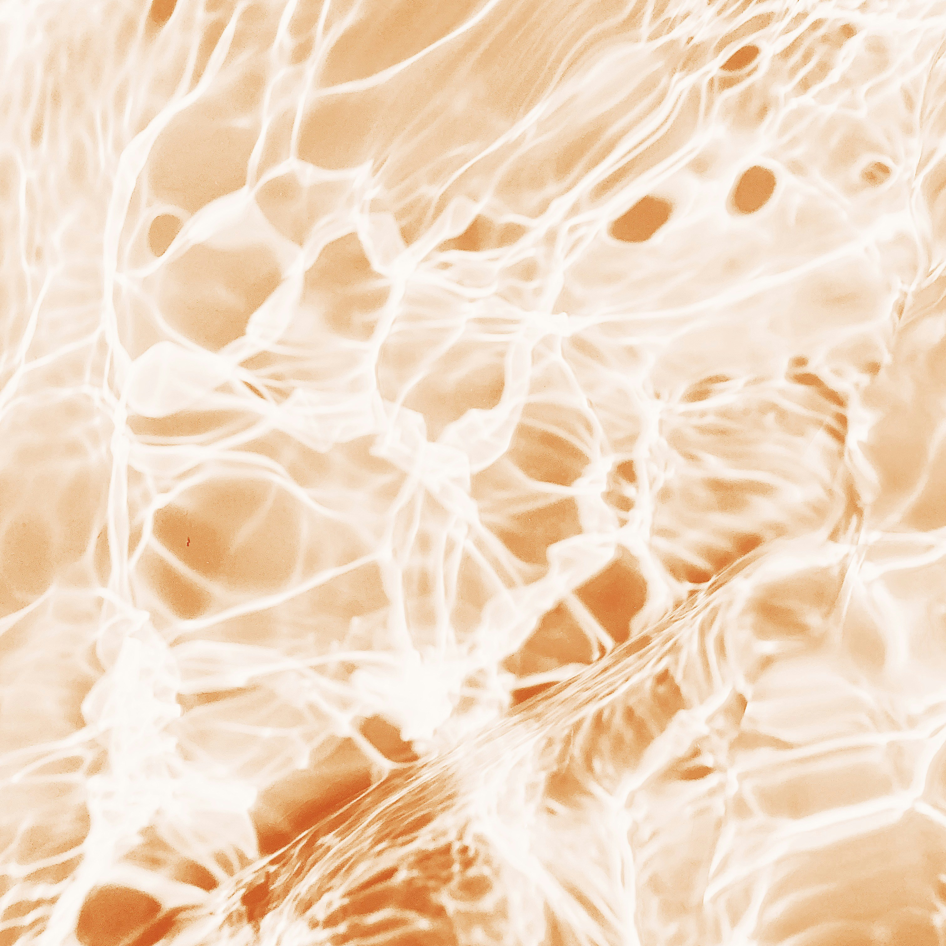 Multivitamin Mineralstoff Komplex Bild zu Unterstützung des Nervensystems³