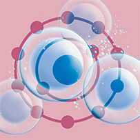 Bild zu Oxidative Protection