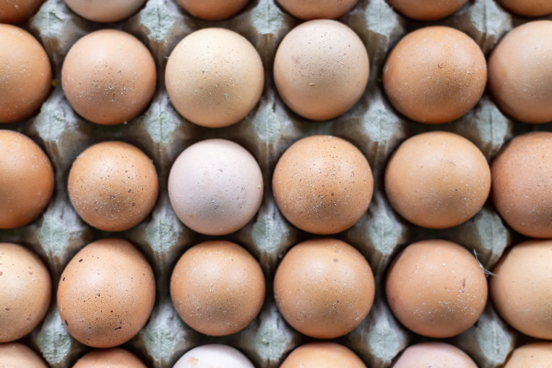 Choline – the underestimated nutrient for brain, liver & more