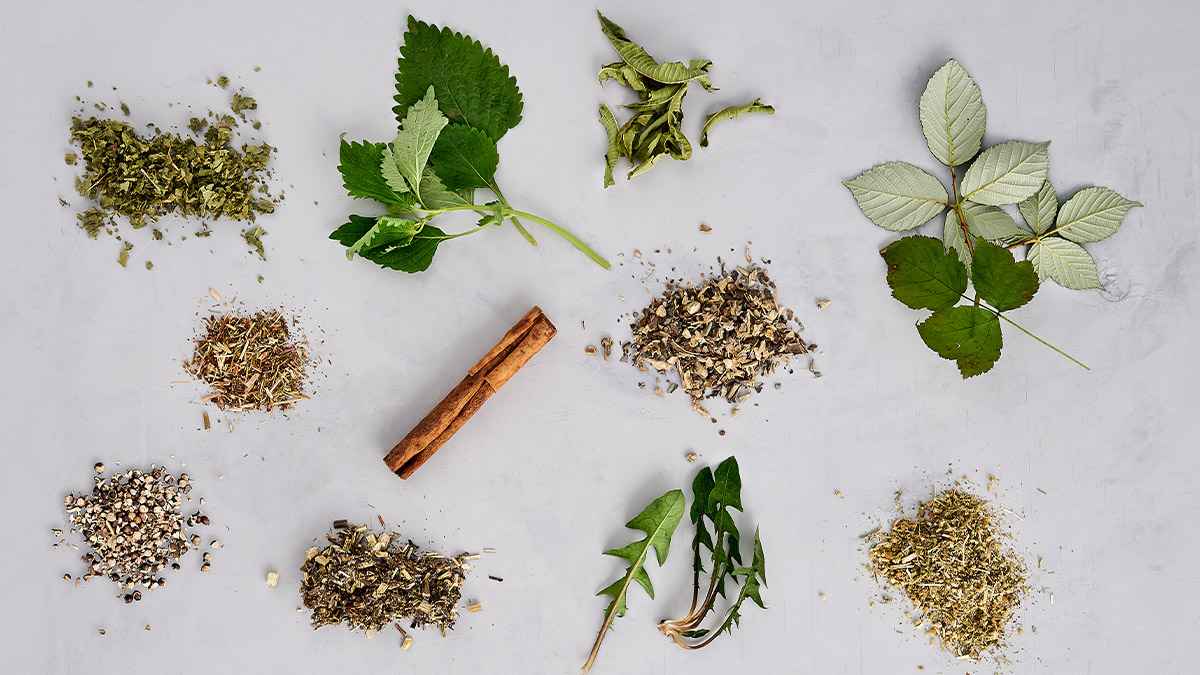 Herbal tea for women: a healthy recipe for hormonal balance and well-being