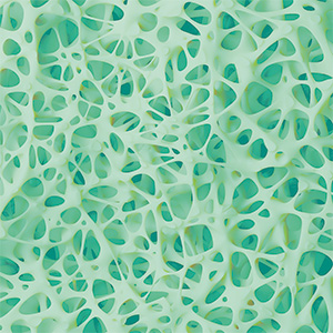 Bild zu Targeted Support for Bones, Joints, Muscles, & Skin