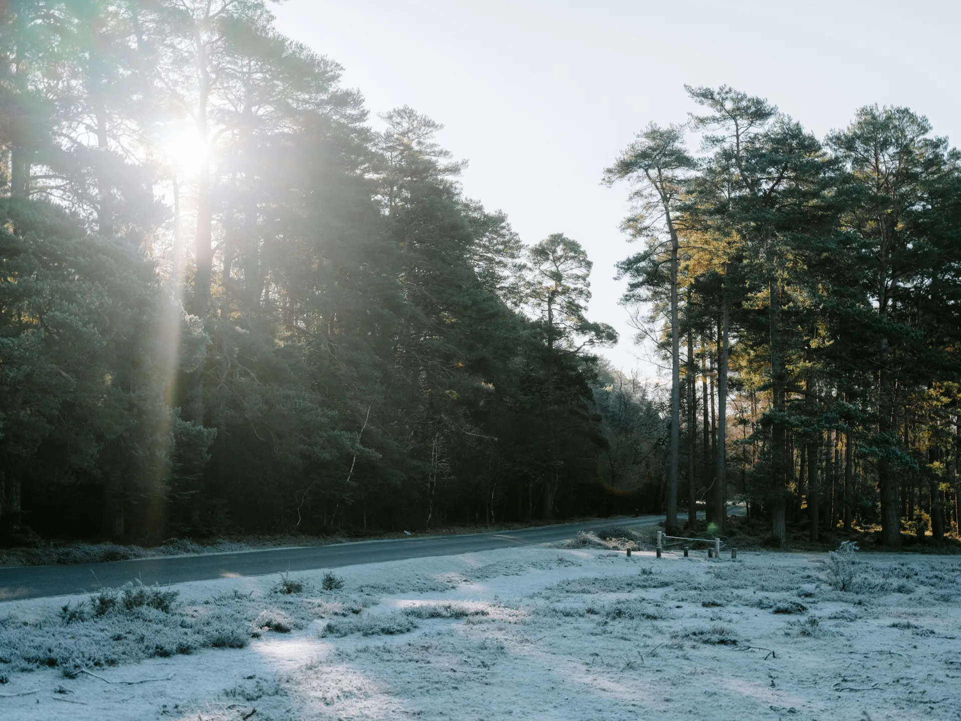 Vitamin D im Herbst und Winter: Warum Supplementierung sinnvoll sein kann