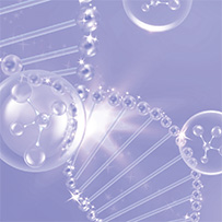Bild zu Anti-Aging & Cell Protection